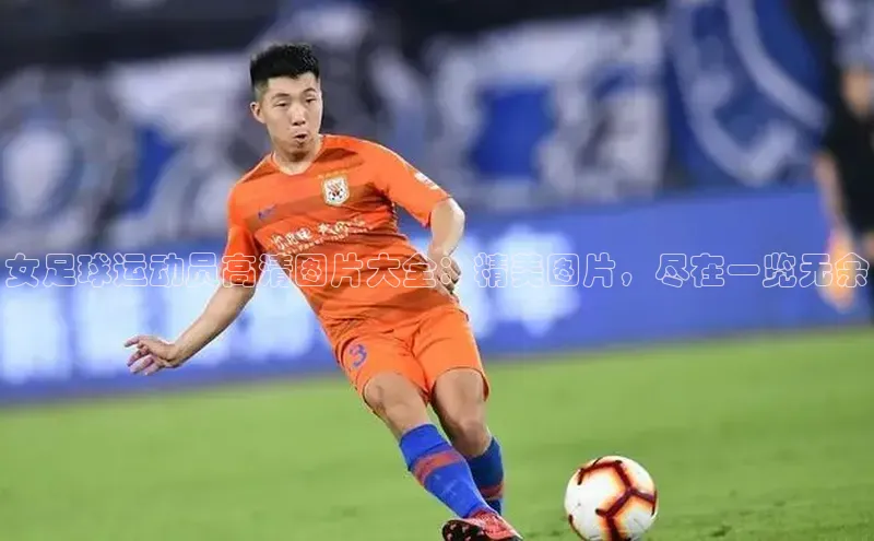 熊猫体育在线直播app百度人工翻译