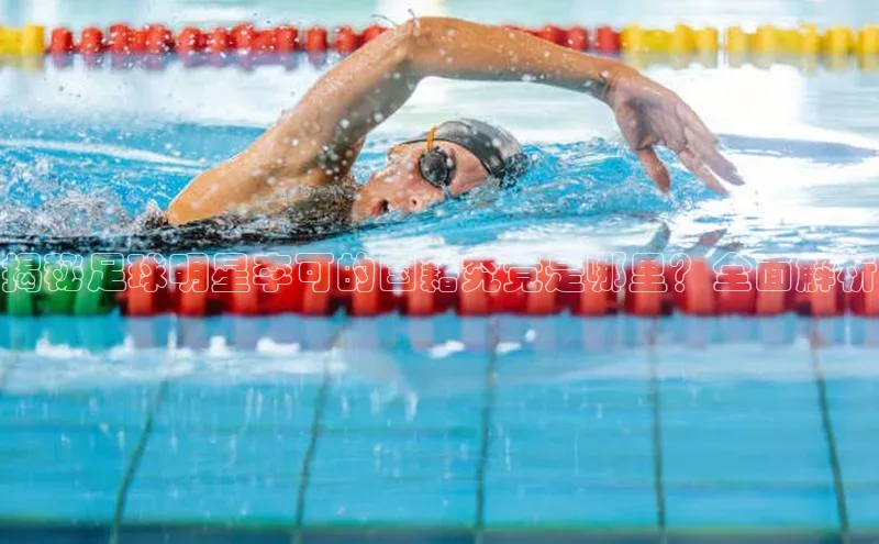 熊猫体育app安装入口京东