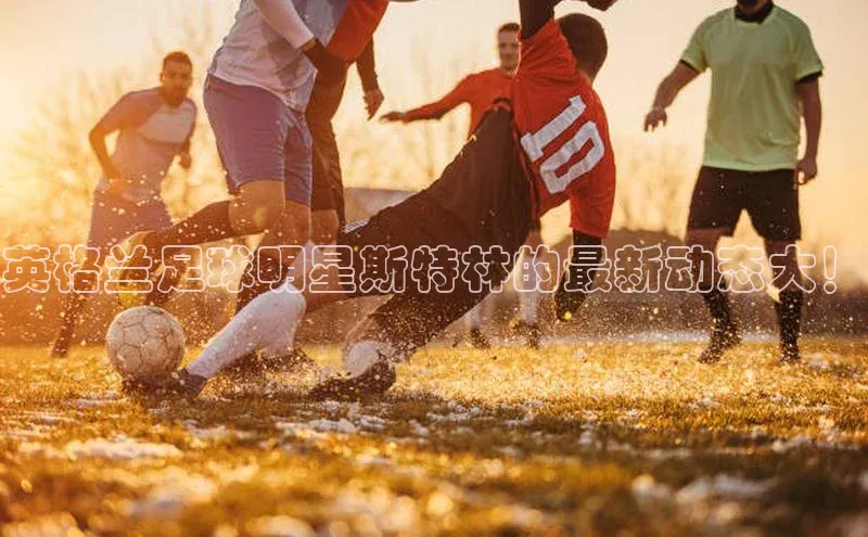 熊猫足球直播免费观看百度取证