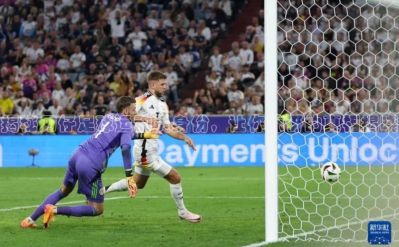 熊猫体育app百度手机助手