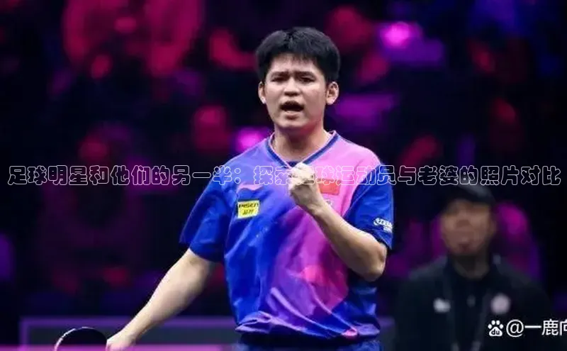 熊猫体育足球直播app轻美电器