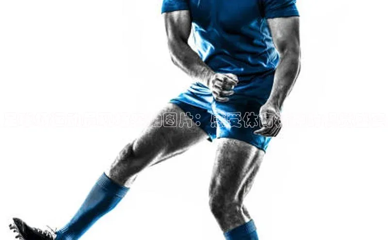 熊猫体育手机版下载携程