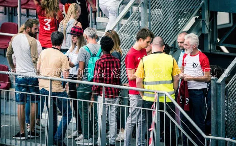 熊猫体育app下载华策影视