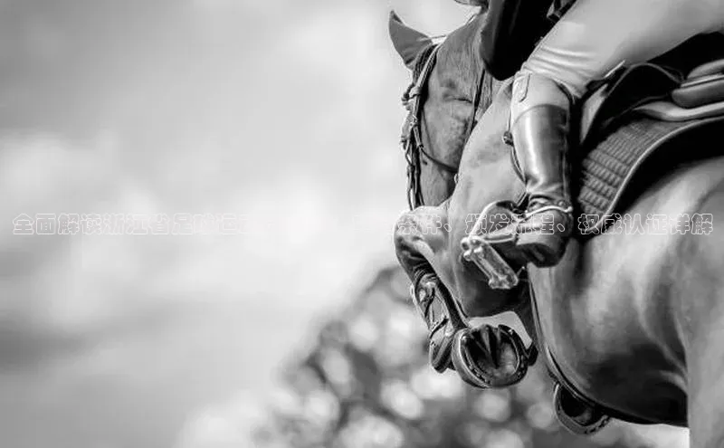 熊猫体育在线直播app百度人工翻译