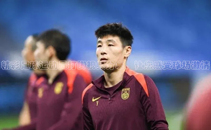 熊猫app官方网站百度网盘企业版