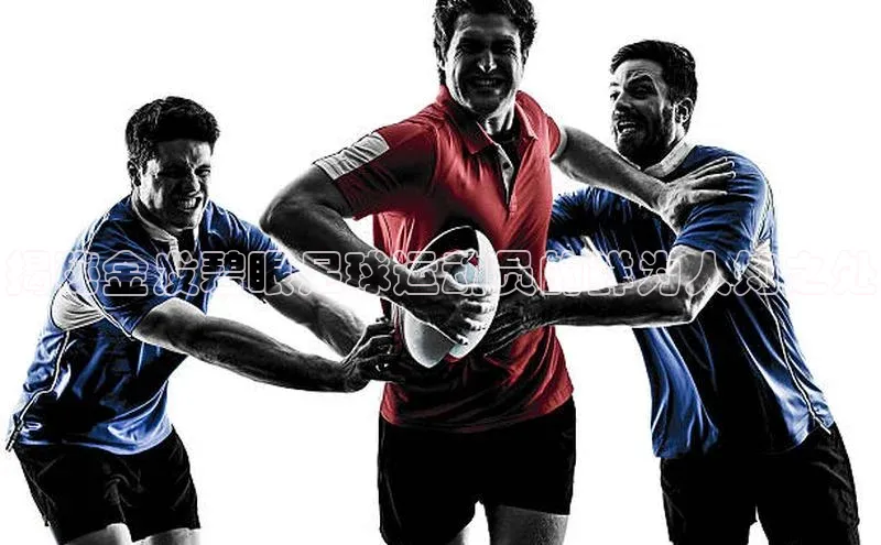 熊猫app下载文心一言