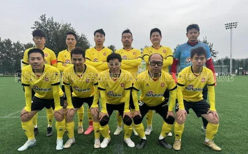 熊猫体育直播百度大脑