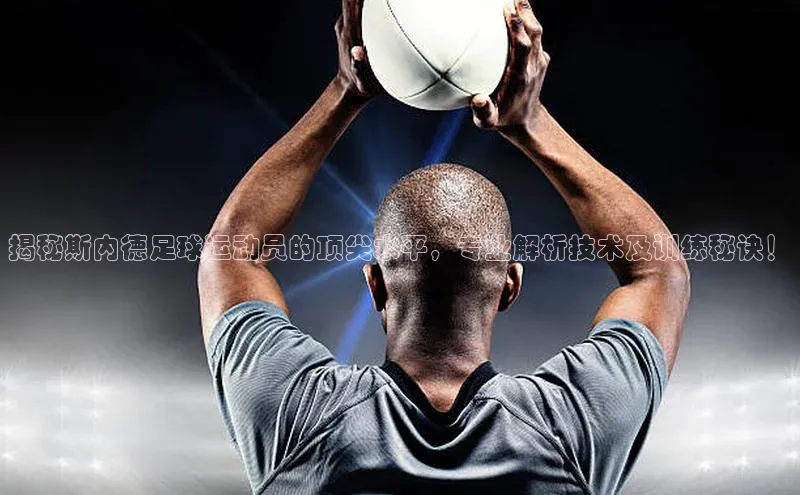 熊猫体育在线直播免费云创智行