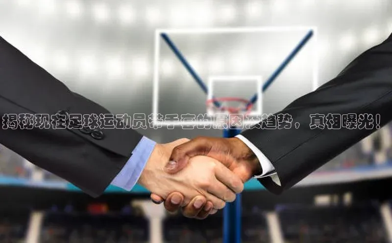 熊猫体育appARGA公司