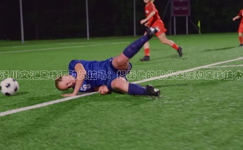 熊猫app官方网站百度手机输入法