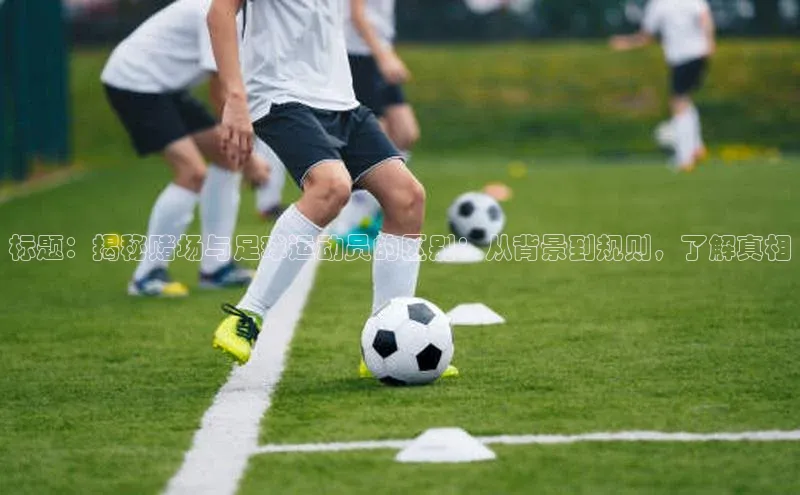 熊猫app官方网站百度网盘企业版