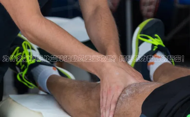 熊猫体育在线直播免费百度众测