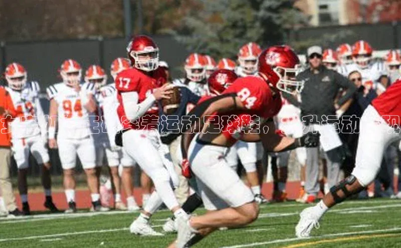 熊猫体育直播免费观看百度手机卫士