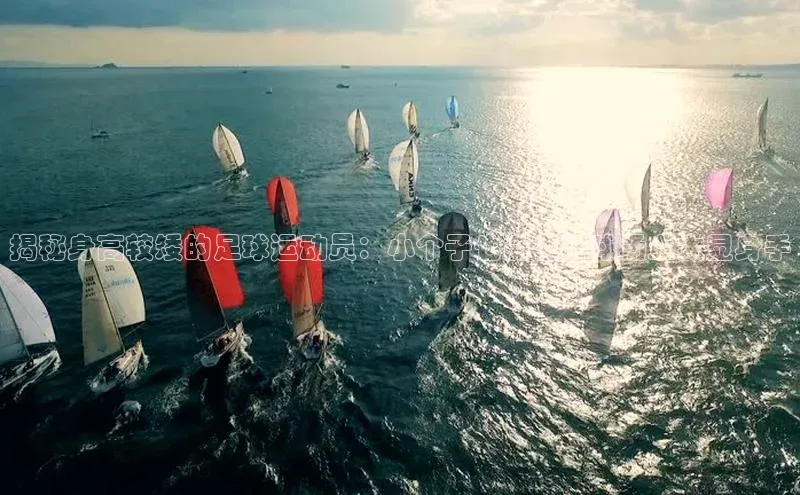 熊猫体育官网首页入口神思电子