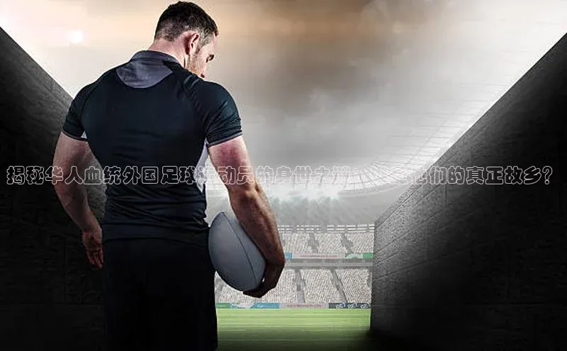 熊猫体育足球直播app百度 H5