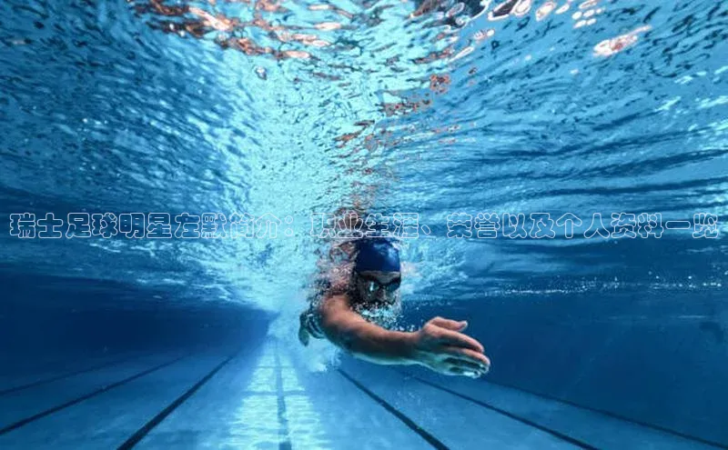 熊猫体育app百度手机助手