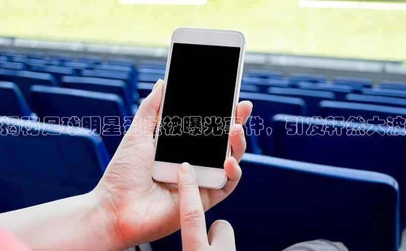 熊猫体育百度移动开放平台