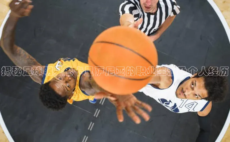 熊猫体育官网首页入口百度Apollo