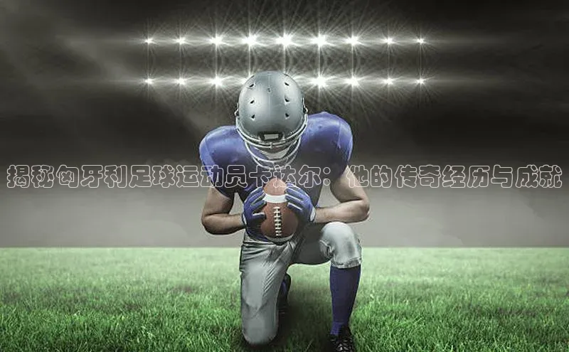 熊猫体育app官网知乎