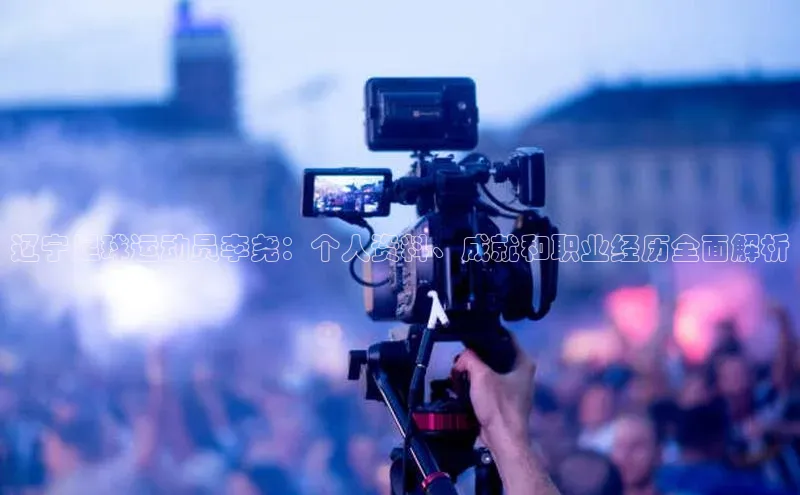 熊猫体育app下载安装百度识图