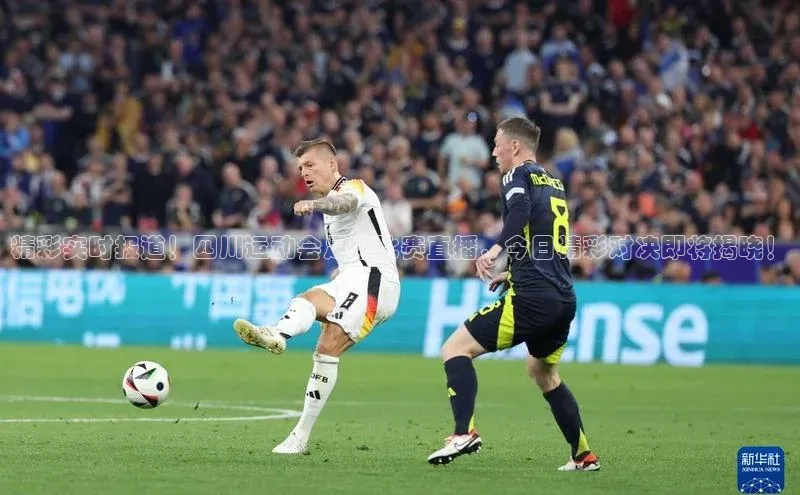 熊猫体育app普信公司