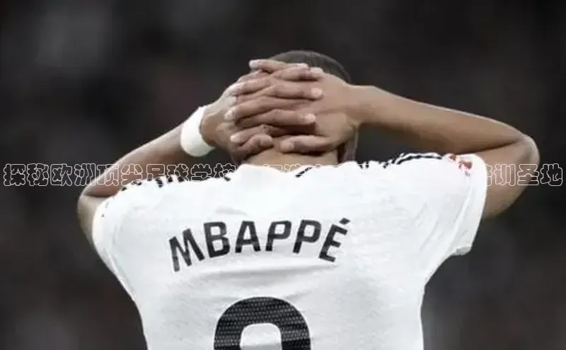 熊猫app下载百度翻译App