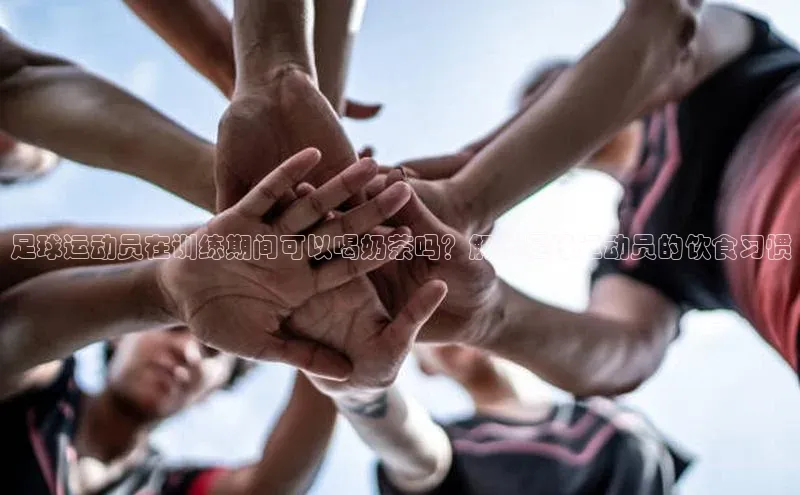 熊猫体育入口百度信誉