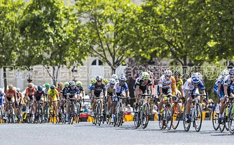 熊猫app官方网站百度集团