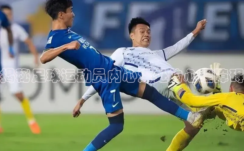 熊猫体育直播同程