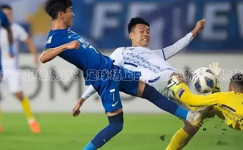 熊猫足球直播免费观看百度取证