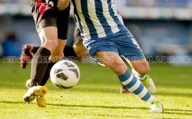 熊猫体育app小度商城