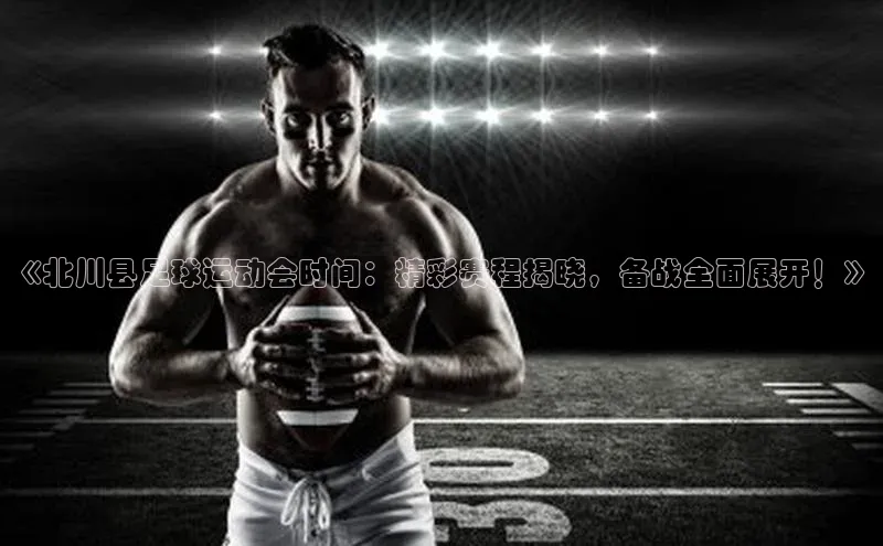 熊猫足球直播百度网盘