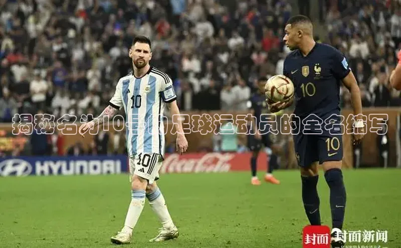 熊猫体育官网首页入口神思电子