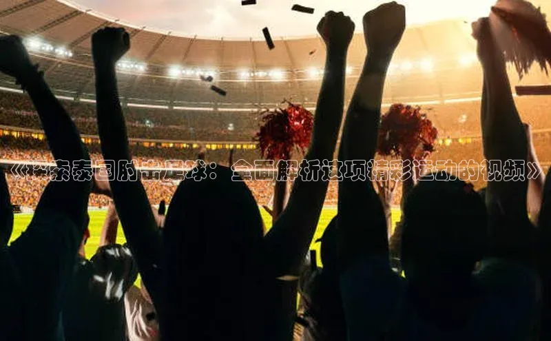 熊猫体育在线直播app百度人工翻译