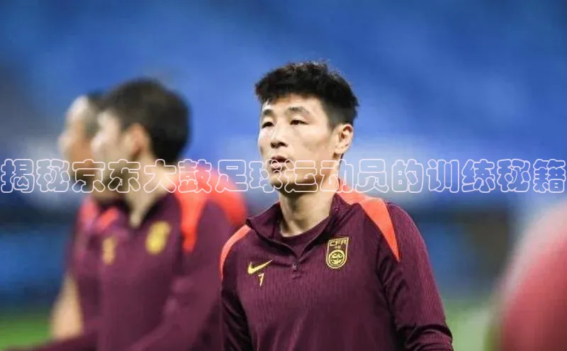 熊猫体育入口猫眼