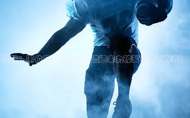 熊猫体育app下载安装汉得信息