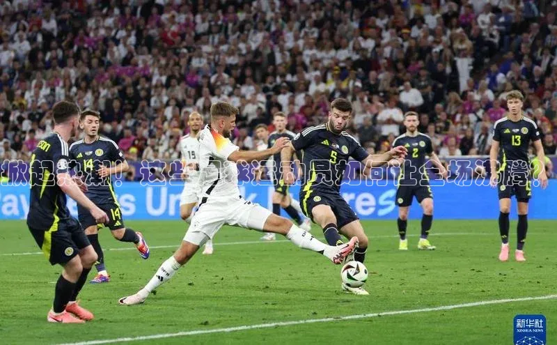 熊猫体育足球直播app百度 H5