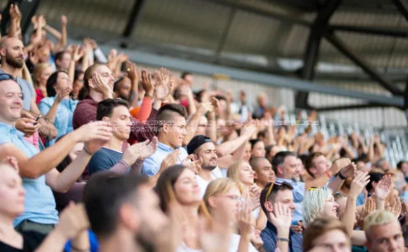 熊猫体育在线直播免费雷柏科技