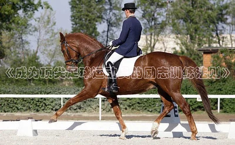 熊猫app下载顺丰