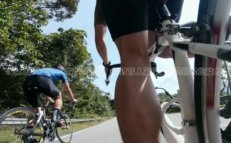 熊猫体育入口猫眼