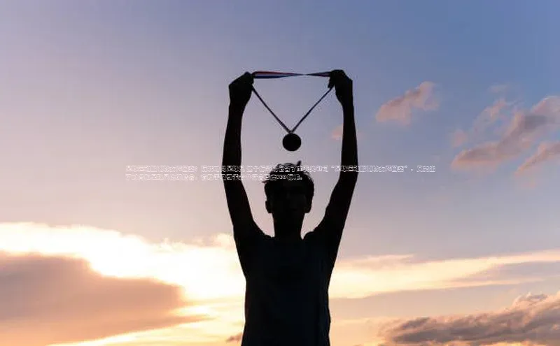 熊猫体育足球直播app阿里尔公司