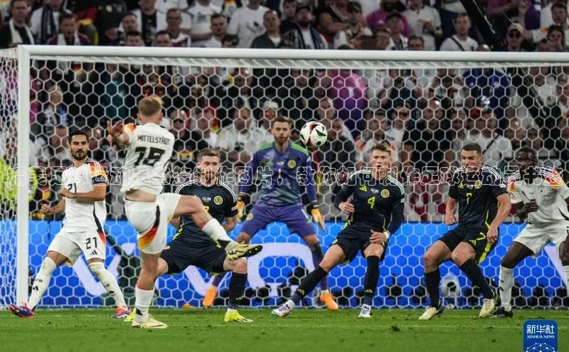 熊猫体育app安装入口京东