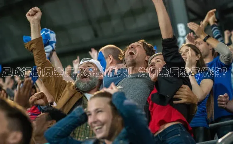 熊猫足球直播免费观看百度取证