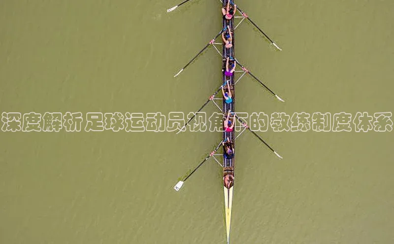 熊猫app下载文心一言