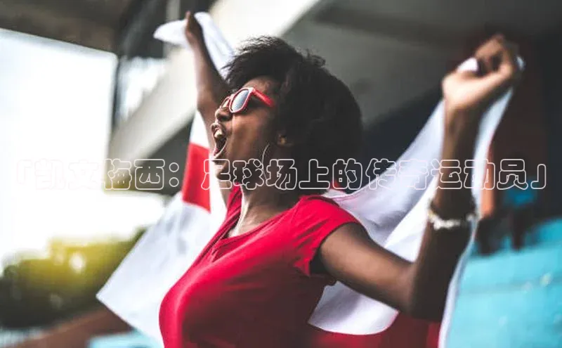 熊猫app下载文心一言