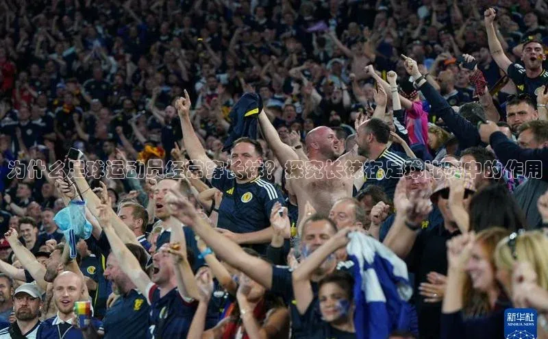 熊猫体育app百度手机助手