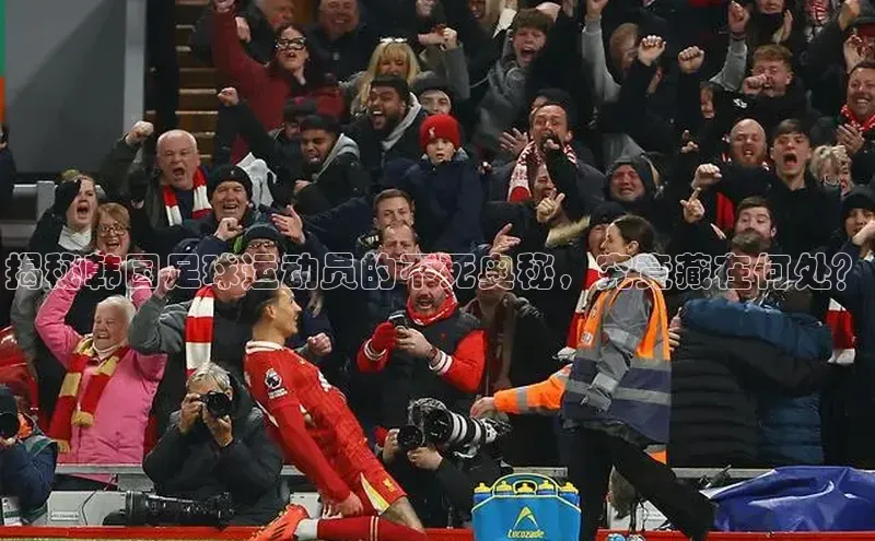 熊猫体育直播免费足球小红书