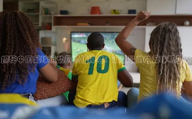 熊猫体育app小度商城