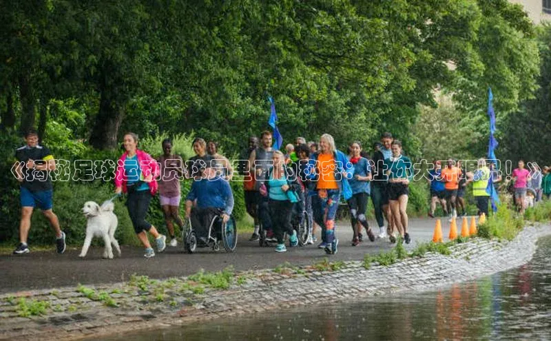 熊猫体育足球直播app百度 H5