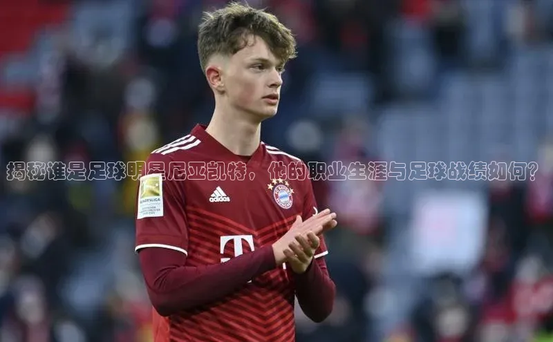 熊猫体育足球直播app阿里尔公司